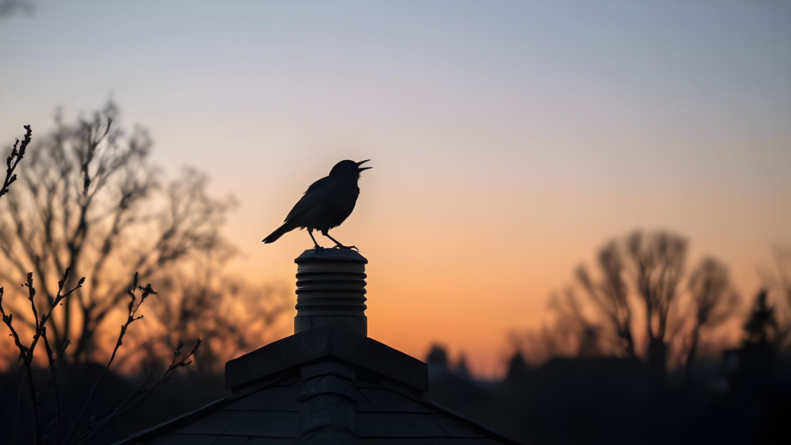 in the gloaming twilight before sunrise