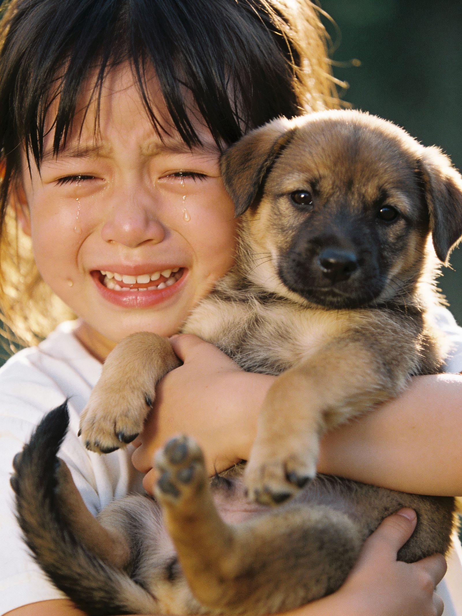 Child's Pure Joy Holding New Puppy