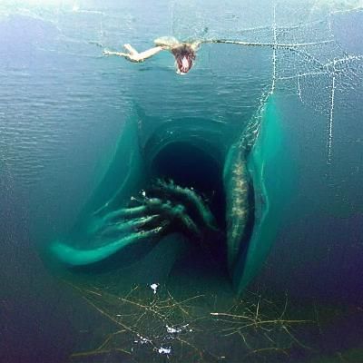 Thalassophobia: Visualizing the Fear of the Deep