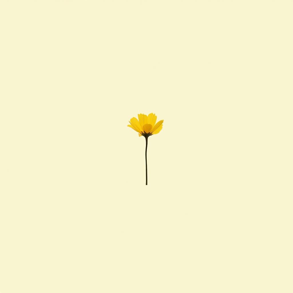 Minimalist Yellow Flower with Clean Lines