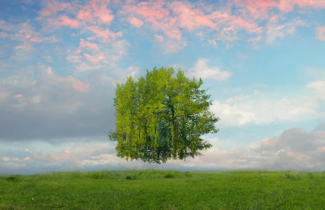 Psychedelic Broccoli Cheese and Bacon Still Life