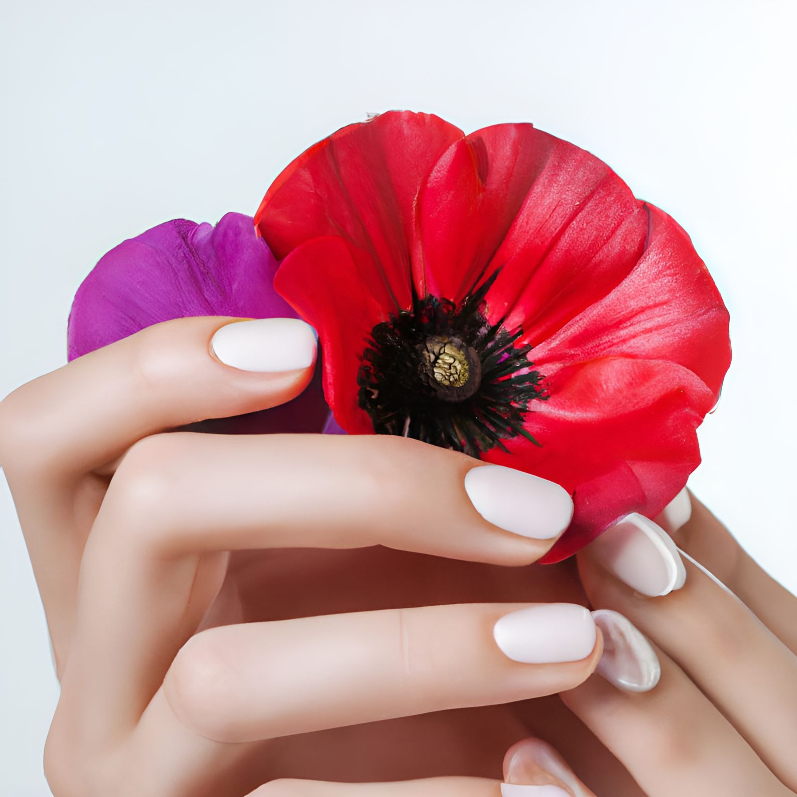 Woman Holds Delicate Flower with Purple Nails