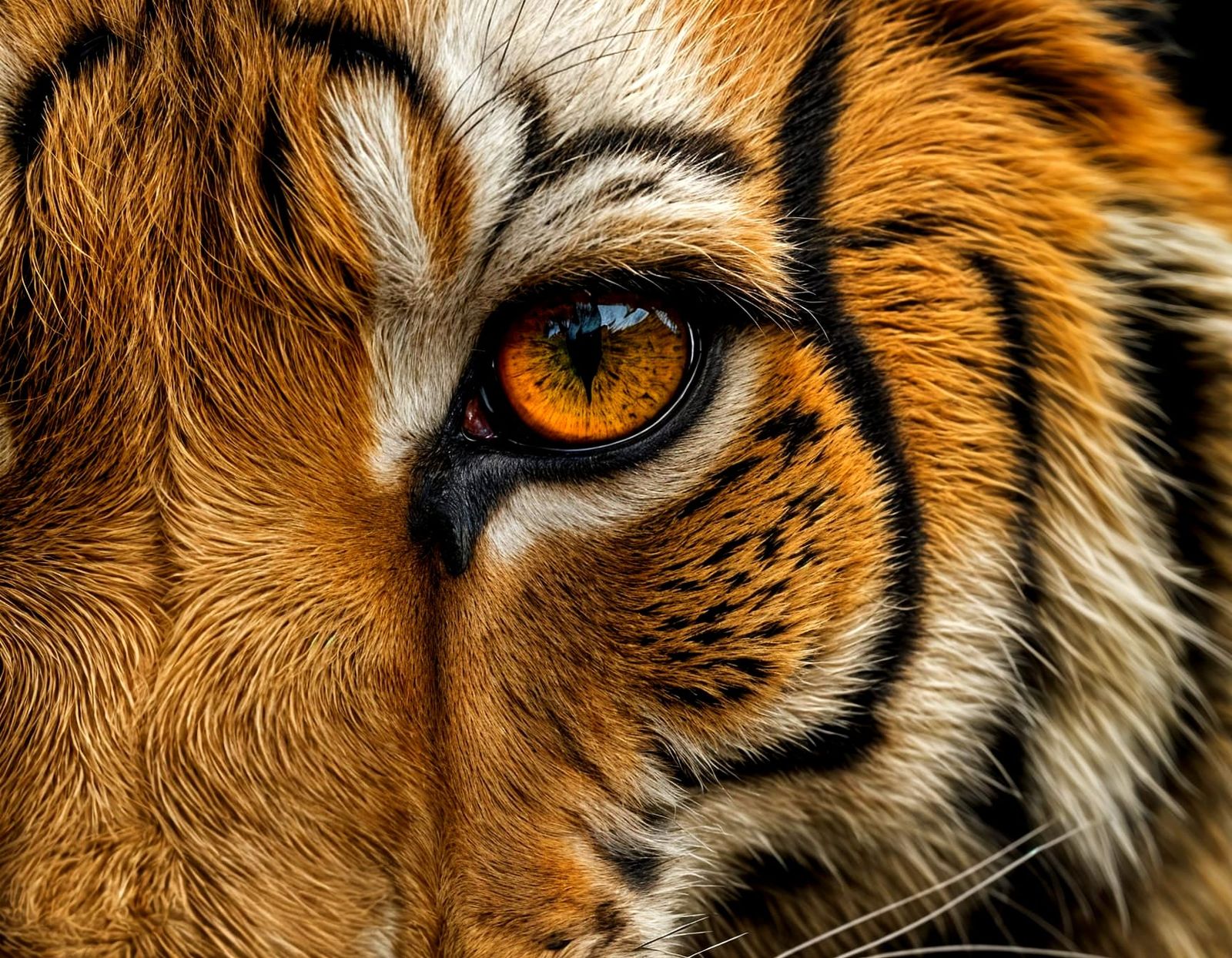 Tiger's Eye Exudes Intense Aggression in Cyberpunk-Inspired ...