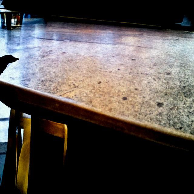 Waiting for Coffee: An AI Interpretation