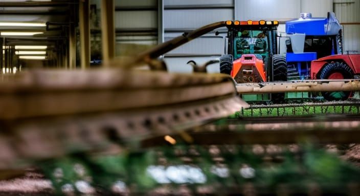 Sparse Valley Landscape in Tenebrism Style