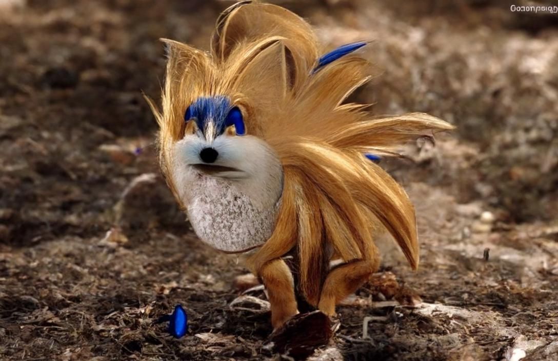 Sonic the Hedgehog