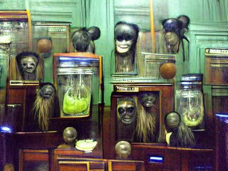 Shrunken Heads in an Art Nouveau Cabinet