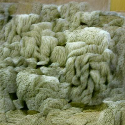 Detailed Close-Up of Natural Sheep's Wool