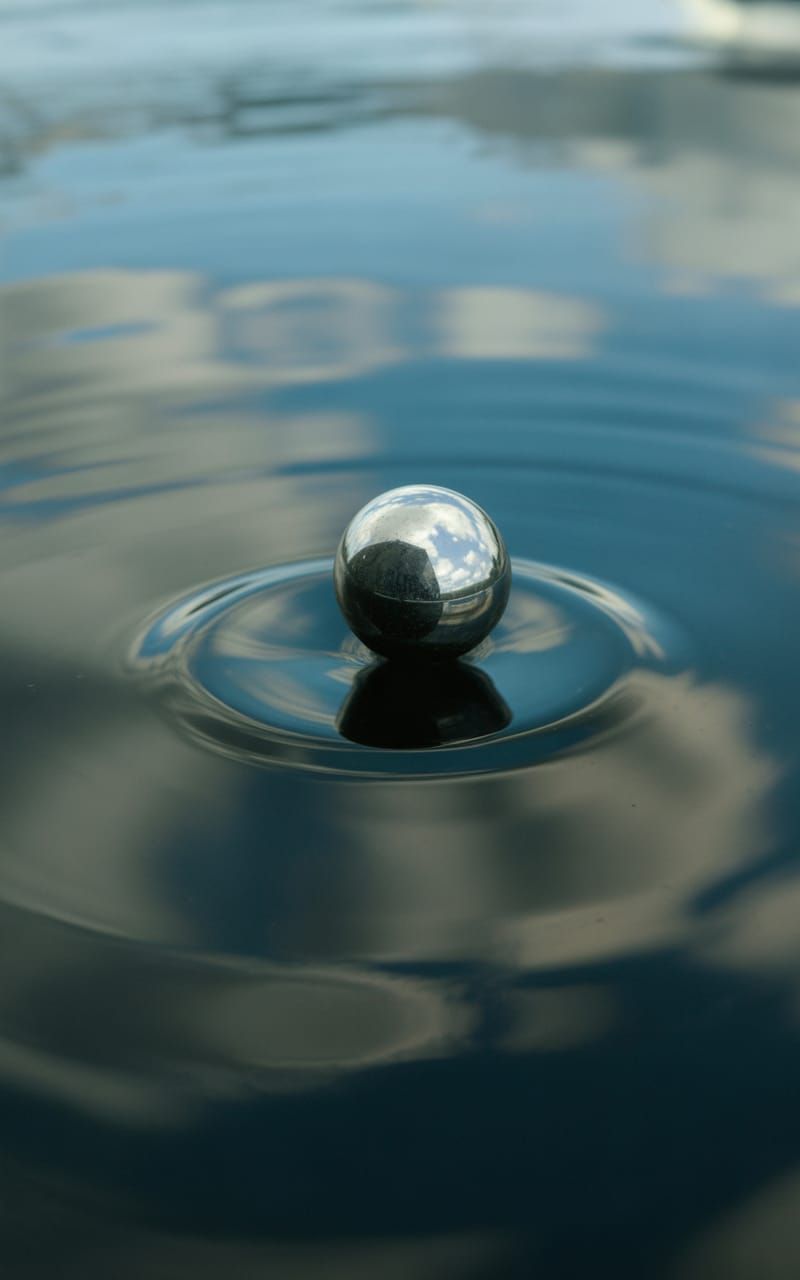 Mirrors in the Wild Depths of Agony Mirroring Nothingness