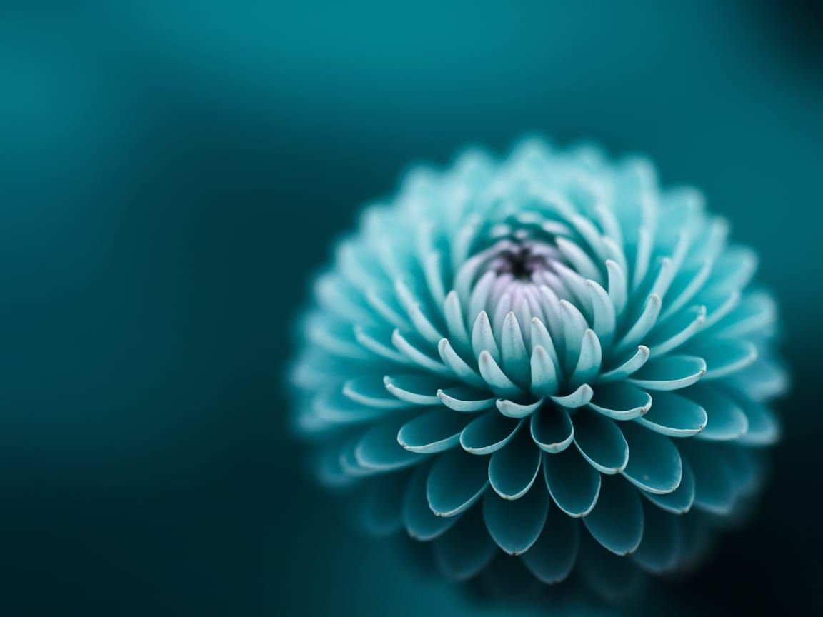 Turquoise Flower Close-Up in Fine Art Style