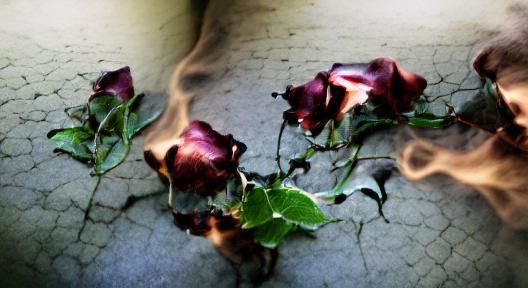 Lingering Scent and Shadow: An AI Interpretation