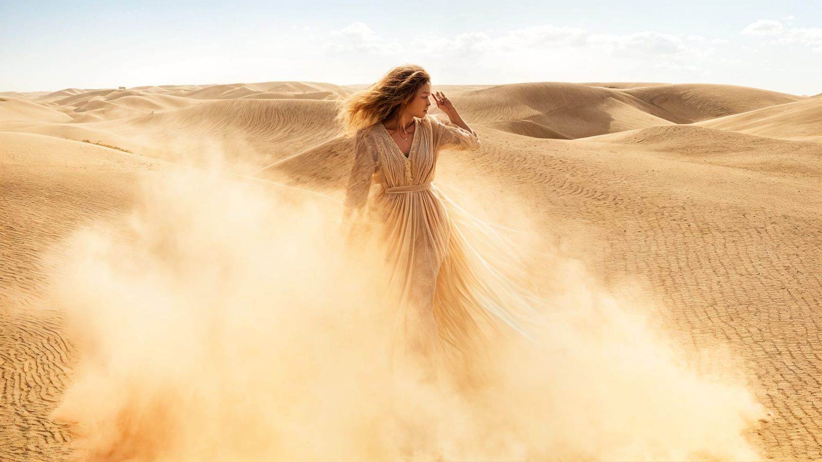 Abstract Dust in the Wind Visualisation