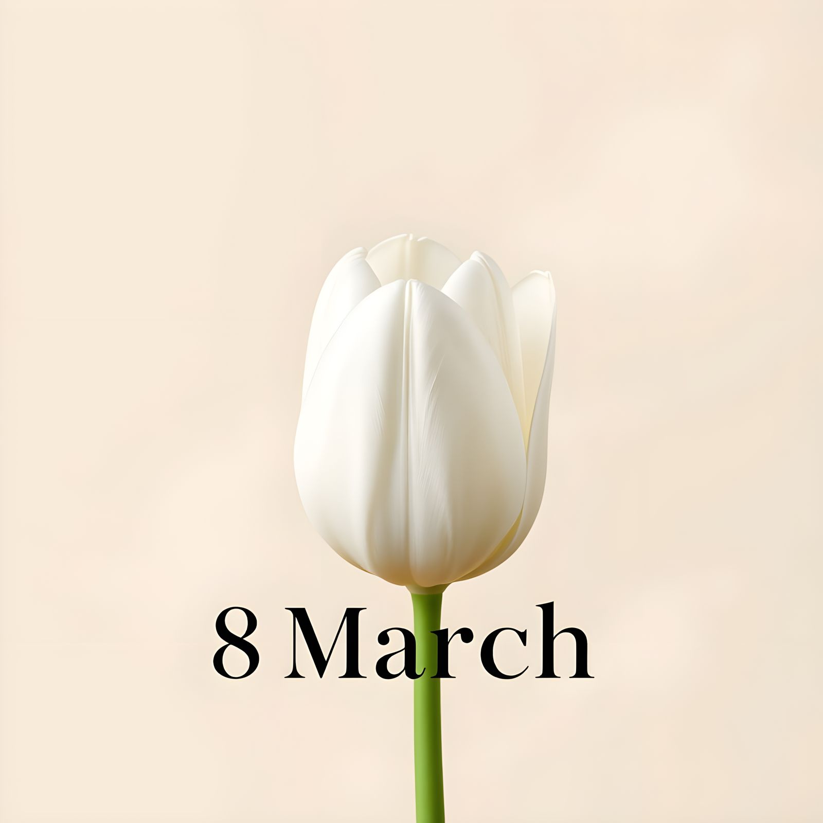 Minimalist International Women's Day card featuring a single...