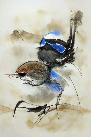 Superb Fairy Wren in Ink and Wash Style