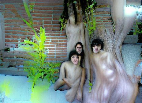 Abstract Primal Forms: Organic Textures