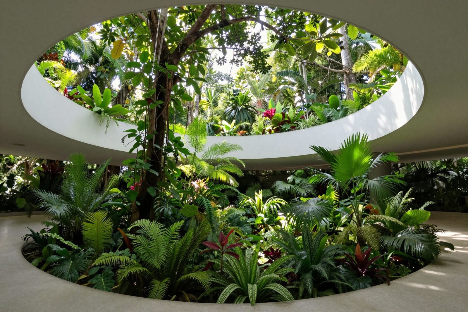 Lush Jungle Canopy Framed by Minimalist Architecture
