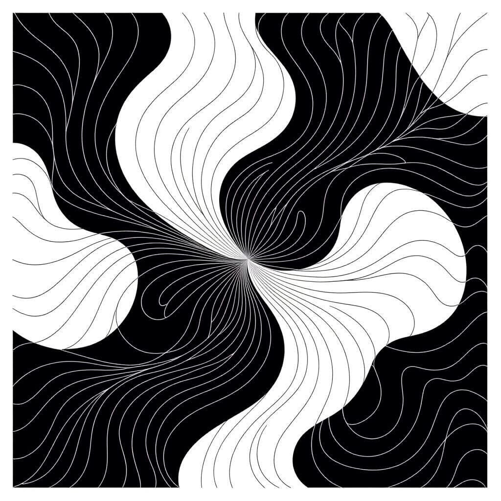 Elegant Black and White Line Art Abstract Organic Shapes