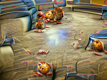 hamsters fighting in a waiting room