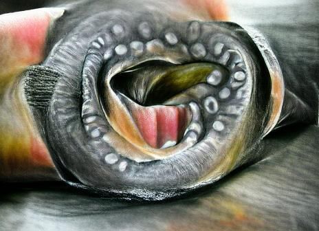 Detailed Charcoal Drawing of a Lamprey Mouth