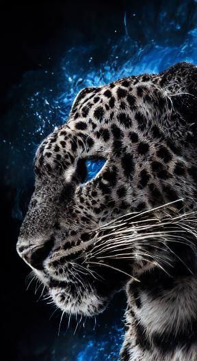 Classic Leopard Pattern Design