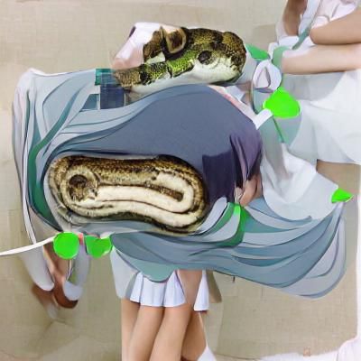 Wug Swallowed by Python: A Linguistic Illustration