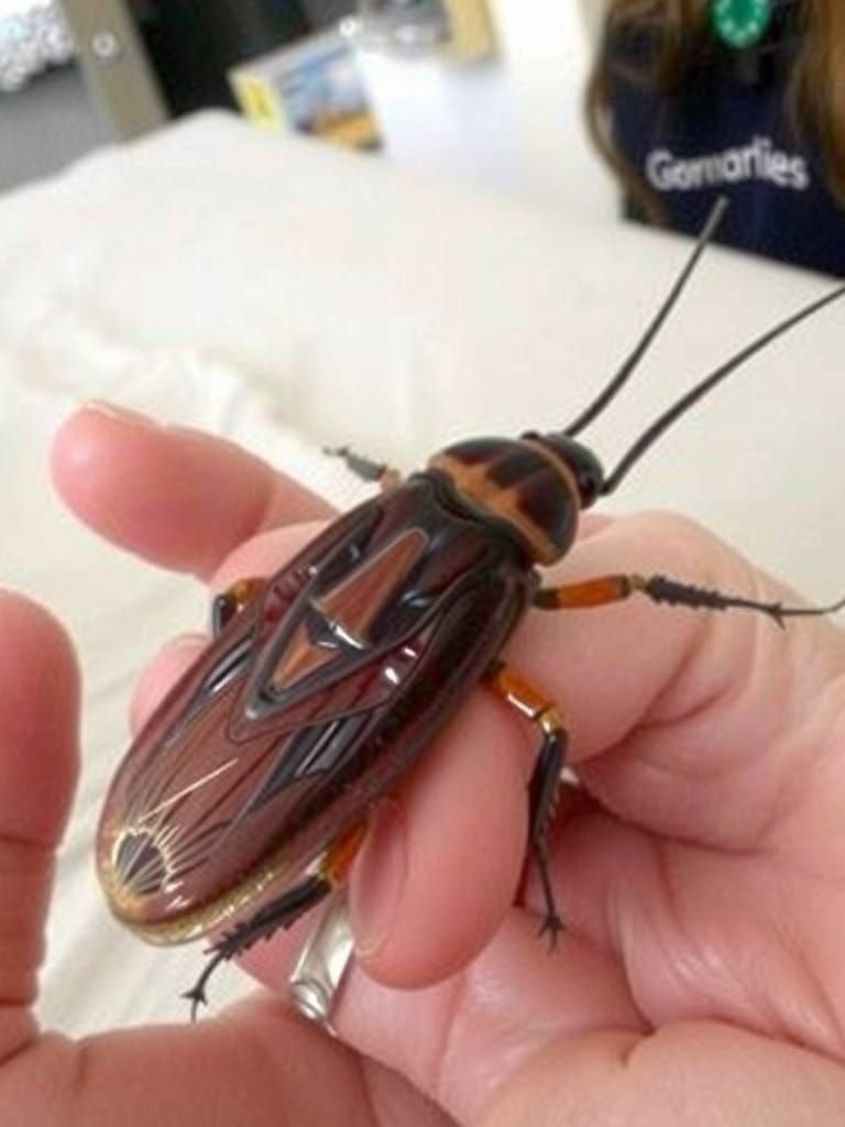 Surreal Realism Painting: Tender Hug Between Person and Cock...