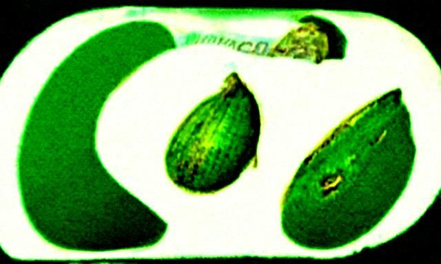 AI Generated Cocomelon Image