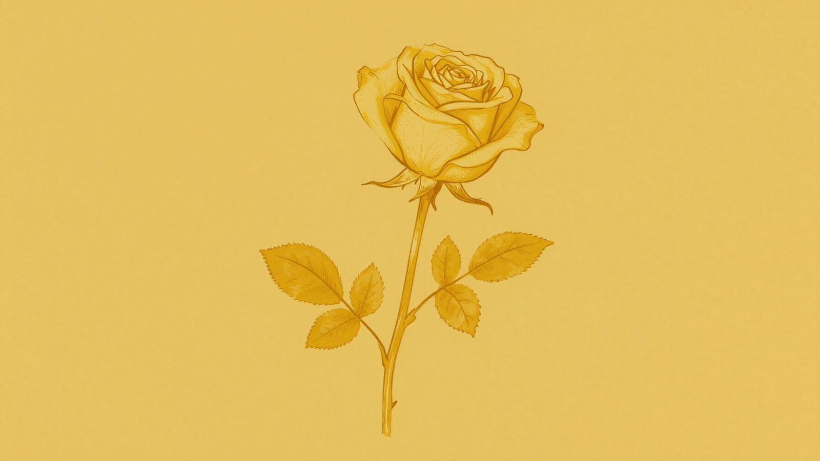 Minimalist Yellow Rose Line Drawing in Shades of Yellow
