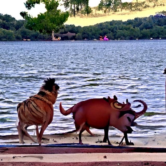 Timon and Pumbaa Relaxing by the Lake