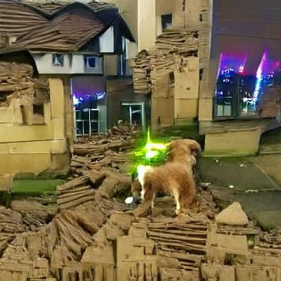 Dog destroys city with laser eyes