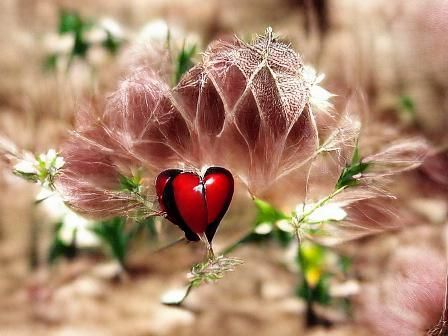 Abstract Visualization of Intangible Concepts