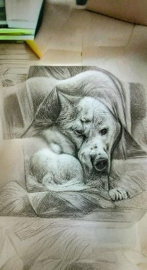 Simple Pencil Sketch Illustration