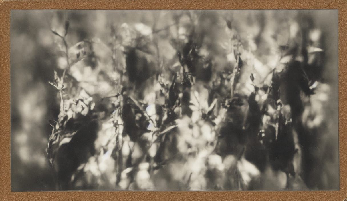 Film Noir Polaroid with Mysterious Light