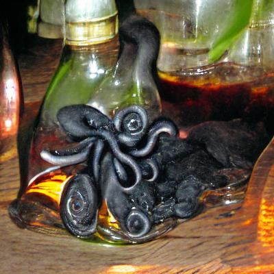Octopus and Rum Bottle Still Life
