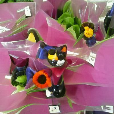 Colorful Cat-Shaped Flowers