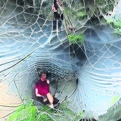 Person Trapped in a Giant Spiderweb