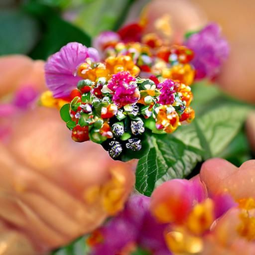 Hyperrealistic 8k Image of Lantana Flowers