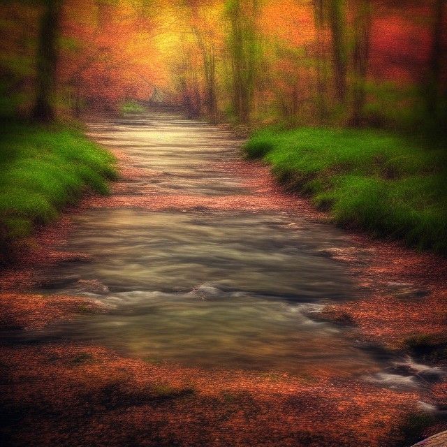Soft Focus Love Illustration