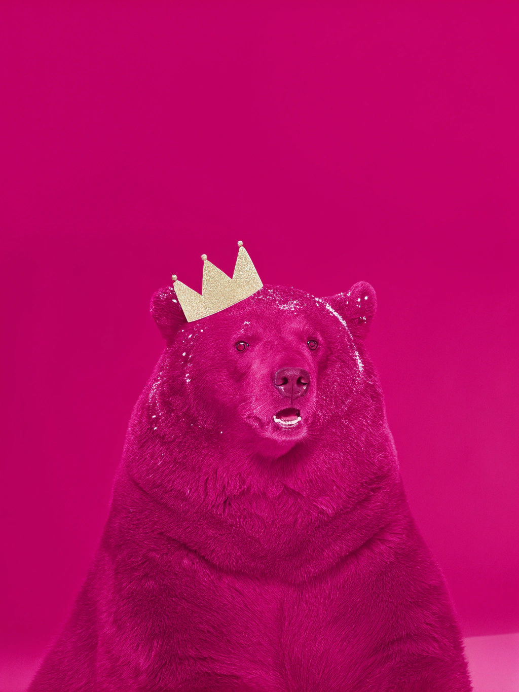 Kodiak Bear King Portrait in Frosty Crown