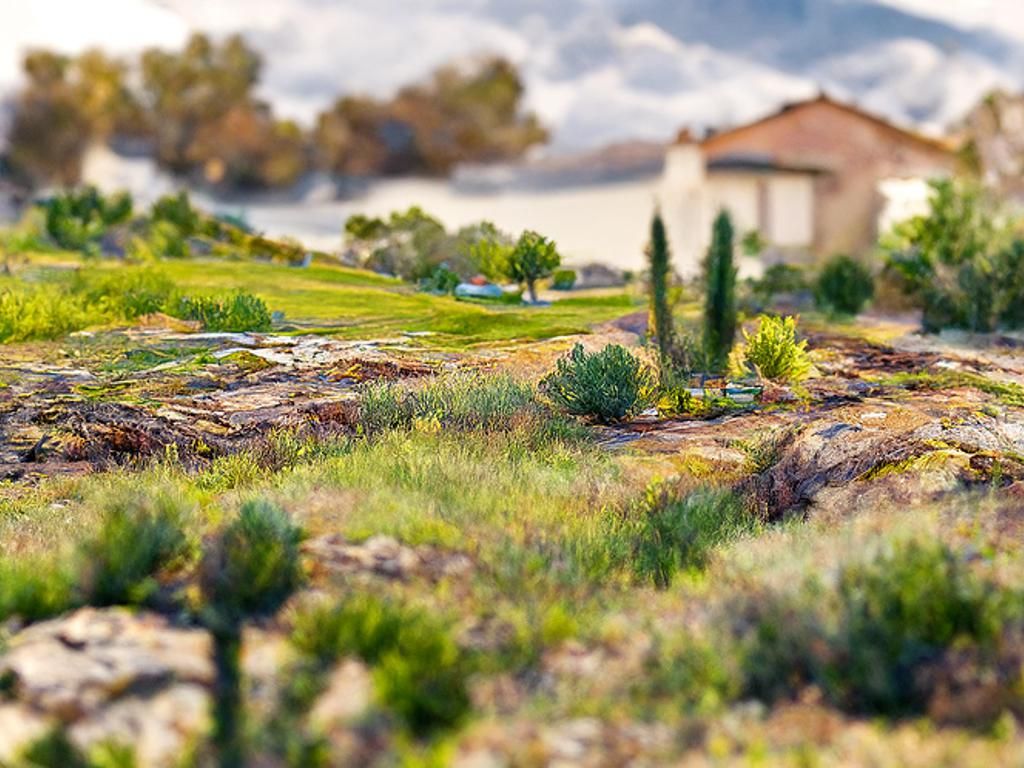 Detailed Landscape Vista in Plein Air Style