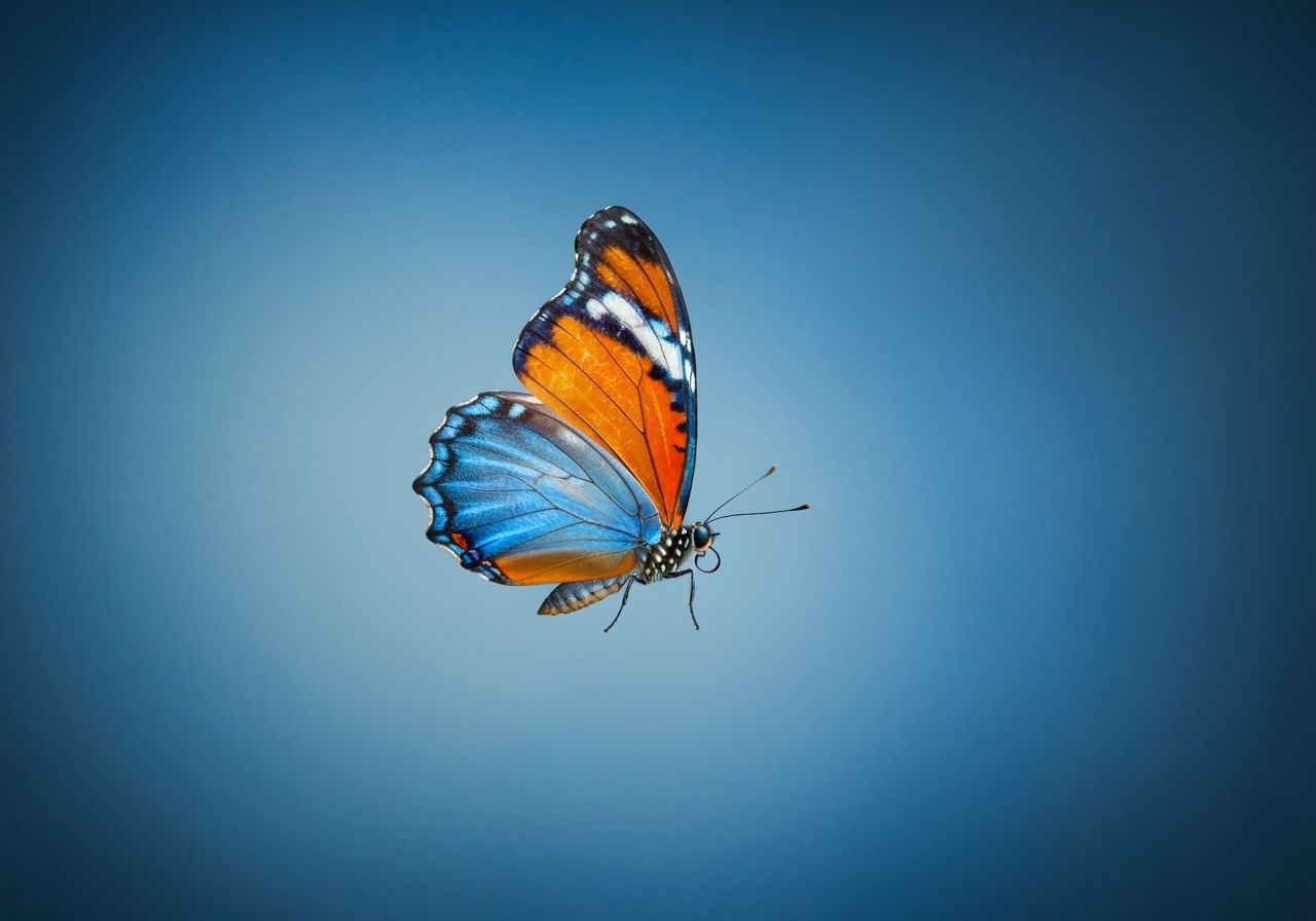 Butterfly with Orange and Blue Wings in Flight