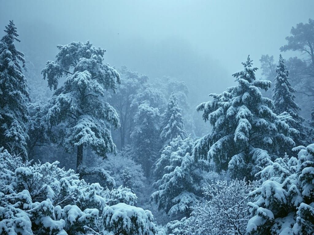 Amazon Rainforest Blizzard in Kinkade Style