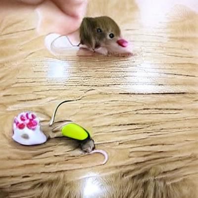 Adorable Pet Mouse Generated by AI