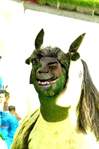 Humorous Shrek-Donkey Hybrid Creature