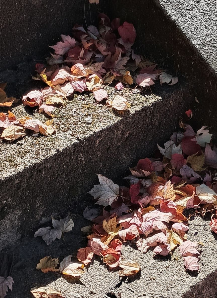 Golden Age Alcohol Ink Watercolor Autumn Steps