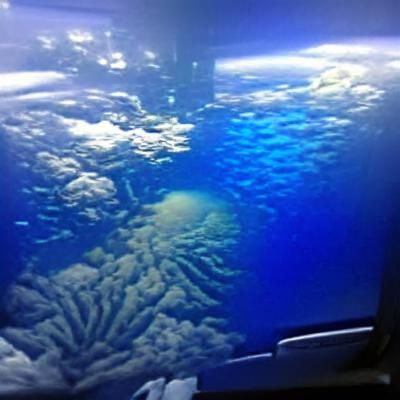 Deep Sea Environment Near the Mariana Trench