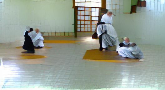 Aikido Visualized by AI Image Generator