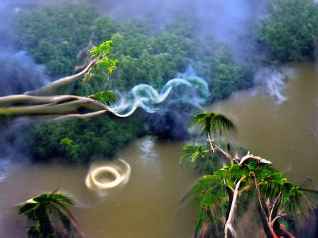 Falling through wet forests...🌴☘🍀🌕🍀☘🌴