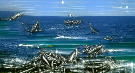 Sardine Run: Coastal Waters, Dolphins, and Whales