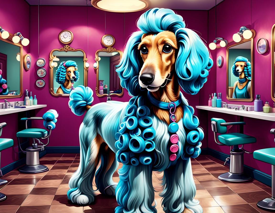Afghan Hound Hairdresser Styles Poodle in Cartoon